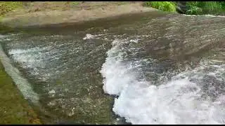 Jamaica, Please Keep Our Rivers Clean