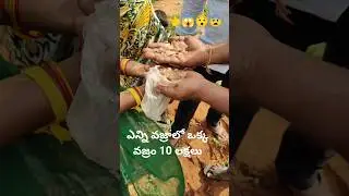 వజ్రాల వేట జొన్నగిరి jonnagiri vajrala veta diamonds hunt at jonnagiri 2025 kurnool vajrakarur