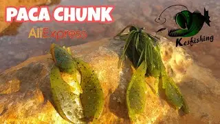Paca Chunk Available In Aliexpress