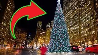 10 &Aacute;RBOLES de NAVIDAD m&aacute;s bellos del mundo