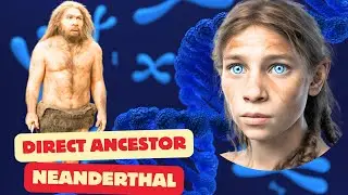 Are Neanderthals Our Direct Ancestors? The Multiregional Model Explores the Evidence