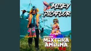 Misky Picaflor