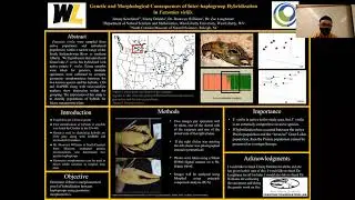 WVAS Poster Presentation - James Krochmal