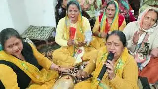 मैया जी तेरी आरतियां || Maiya Ji Teri aaratiyan || माता आरती 🙏🏼🤩🥰🥰