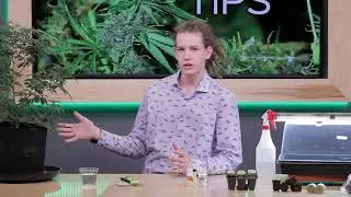 The Cannabis Show - Episode 104 (Best of 2018 Part 1)