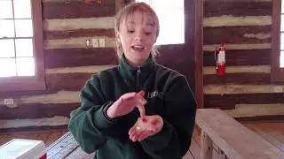 Wild! Heritage: How Animals Survive Winter | Activities for Kids