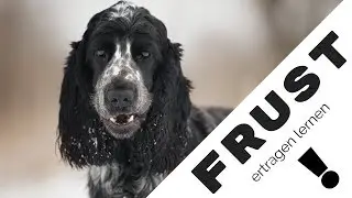 3 einfache Tricks zur Frustrationstoleranz - Aushalten und Abwarten lernen