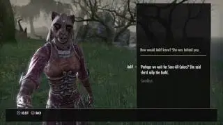 The Elder Scrolls Online: Anchors from the Harbour mission
