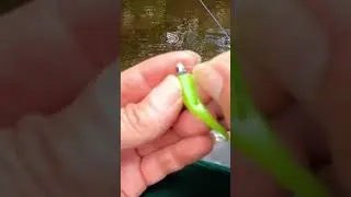 BIG TROUT: How to Fish Mini Jigs for Trouts #troutfishing #browntrout #rainbowtrout #brooktrout
