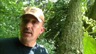 Will County 117 Acres