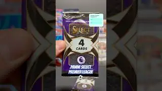 2 Packs of Panini Select Premier League 24/25 &ndash; Who&rsquo;d We Pull?
