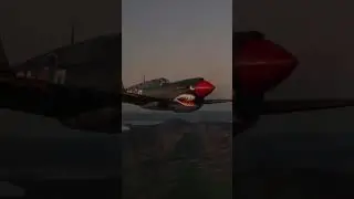 P40 Kittyhawk  Warbird Formation Flying with the @arthur.aviation.aus P40