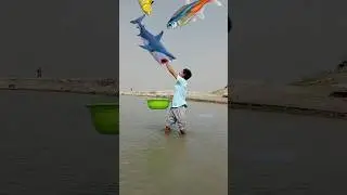 Colorful Fishes catching vs fruit eating - Funny vfx magic video