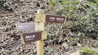 Mount Takao Trail 6 Descent | Tokyo’s Most Natural Route #mttakao #6trail #tokyohiking #japanhiking
