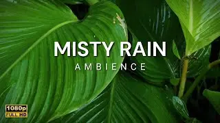 No Ads Soft Rain on Leaves | Soothing Rain Sounds for Sleep & Insomnia Relief