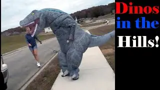 Raptor in the Mountains: Halloween in the Hills