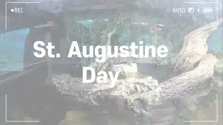 St.Augustine Alligator Farm, Duck Parlor, Saint Dinner, Haunted Lighthouse l St. Augustine, FL l NOV