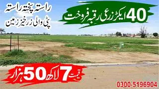 40 Acres Fertile Agriculture Land for Sale in Punjab Pakistan | Affordable Farming Land