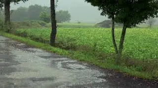 [4K] Rain showers on a country road. Rain Sound ASMR. The sound of rain