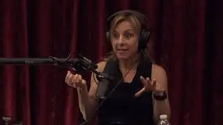Joe Rogan Experience #1665 - Carole Hooven