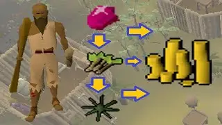 OSRS Trading Sticks & Karambwans Guide