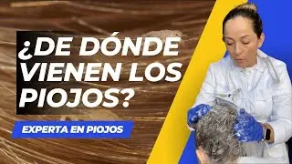 🤔 &iquest;De d&oacute;nde vienen los piojos.? Mitos y verdades