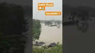 Save Delhi🌧️💧🙏🏻 #gaurivibes #video #ytshorts #viral #savedelhi #fyp #flood