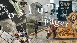 oslo pages⛓️ black metal, record/cd haul, travel journal flip through