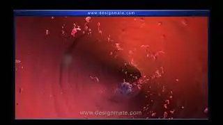 Blood Composition