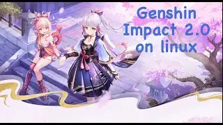 Тестируем патч 2.0 в Genshin Impact 2.0 на linux