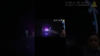Police Car Stuck On Train Tracks #shorts