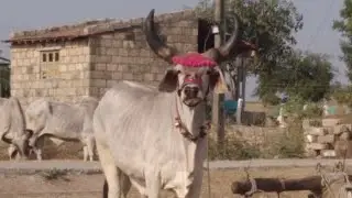 10 jodi bell ki
