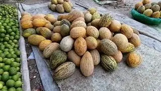 Sabzi Mandi Market Layyah Pakistan || Vagetables Market || Fruits Market