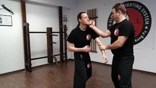 Ving Tsun Masterclass Stuttgart Doppelmesser, Baat Jaam, Do, Langstock, Lok Dim Boon Gwan