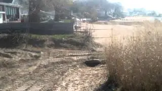 CRYSTAL BEACH grooming