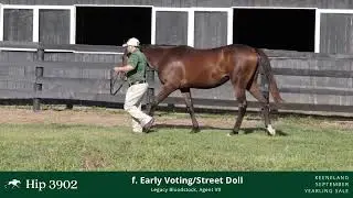 Hip #3902 - Fill by Early Voting - Street Doll