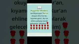 Kur'an bir Hidayet Ve Şifadır #istanbul