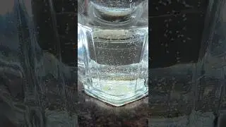 How to hatch Artemia Eggs🦐🐠| Brine Shrimp Hatching Method🦐| #shorts #aquarium #fish
