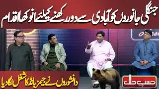 Jungli Janwaron Ko Aabadi Se Door Rakhne Ke Liye Anokha Iqdam | Azizi | Hasb-e-Haal Official