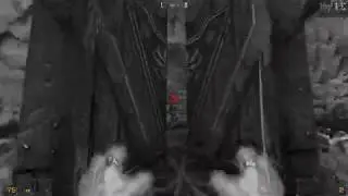 Hexen: Walpurgis 0.77: I HAVE THE POWER!