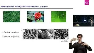 8. ŚFN Katowice: Nature‑Inspired Surface Technologies