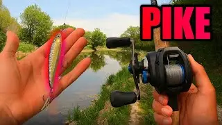 INSANE Pike fishing the Grand River (Giant Spotted!)