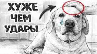 Пожалуйста, ПРЕКРАТИ Делать ЭТИ Вещи со Своей Собакой!