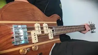Sd Curlee Curbeck Bass '70  - TOP Discontinued Bass