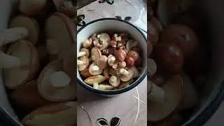 boletus mushrooms, маслята