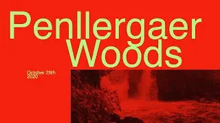 Penllergaer Woods 2020