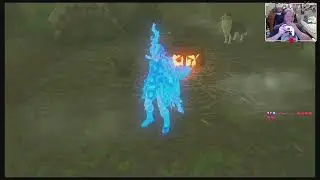 We gonna vibe and shrine hunt some more.