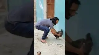 Javed murga chor 🐓#comedy #video #funny comedy #हसन video#