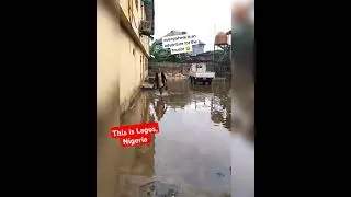 Swimming to Work #generaltour #adventure #lagos