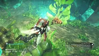 Tweaking Fish in NMS